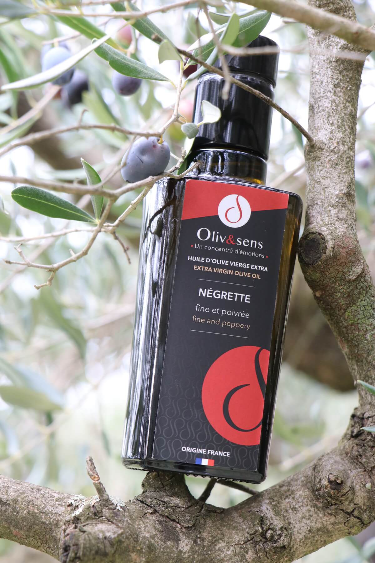 L’huile d’olive fruité mûr